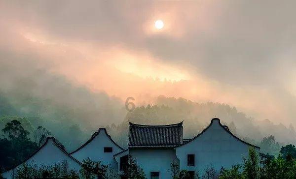 以关爱为底色 中国人寿三门峡分公司贴心服务获赞誉